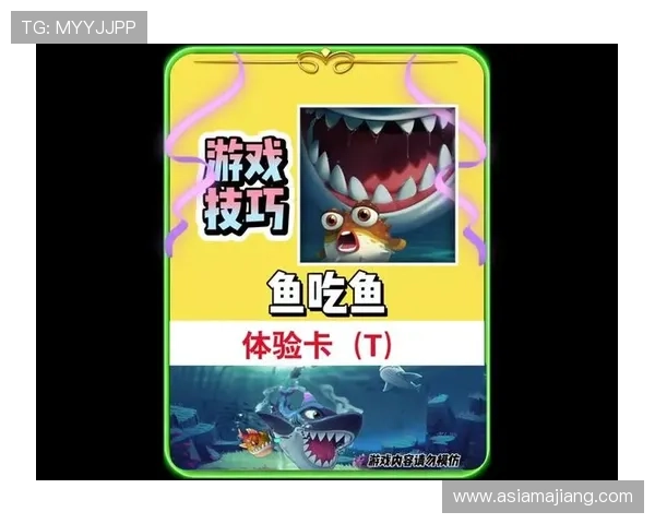 掌握K8捕鱼王最新攻略技巧，轻松提升捕鱼效率实现高分突破